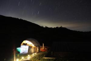 Příroda nedaleko luxury tent