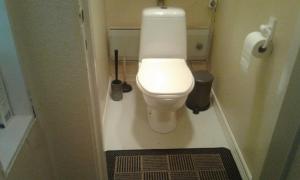 a small bathroom with a toilet in a stall at Holiday House in Lapland, Överkalix in Överkalix