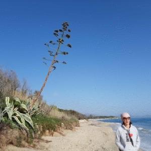 Fotografie z fotogalerie ubytování Casale Diletta v destinaci Castiadas