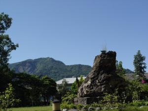 Una roca con una planta encima en Feng Lin Homestay, en Shuili