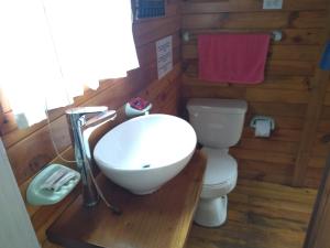 a bathroom with a sink and a toilet at Hosteria La Roulotte - Mindo in Mindo