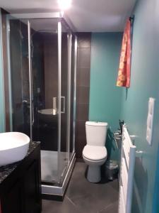a bathroom with a toilet and a shower and a sink at Logement du Paquis in Les Mazures