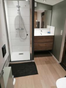 a bathroom with a shower and a sink at Le cabanon in Méneslies