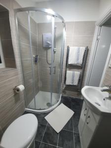 een badkamer met een douche, een toilet en een wastafel bij Beautiful Rooms in Bury