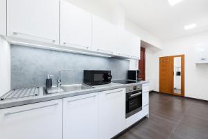 Kuchyň nebo kuchyňský kout v ubytování Prague Roof Apartments