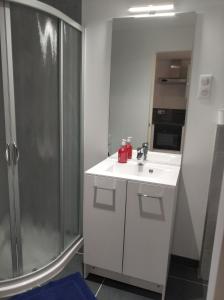 Kuchyň nebo kuchyňský kout v ubytování Studio