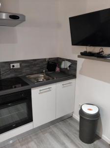 eine kleine Küche mit einer Spüle und einem Herd in der Unterkunft Studio in Baccarat