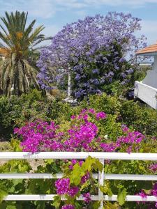 a white fence with purple flowers and a palm tree at Melina's Apartments in Kalavárda