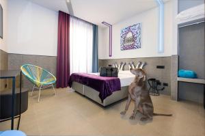 un perro sentado en un dormitorio con cama en Hotel Relais Dei Papi en Roma