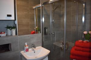 a bathroom with a shower and a sink at Good Time Apartments - Warsaw Zgoda in Warsaw