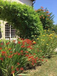 un jardín con flores rojas y amarillas frente a una casa en Le Mas de la Martelière en Le Thor