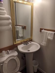 La salle de bains est pourvue d'un lavabo, de toilettes et d'un miroir. dans l'établissement Seadrift Motel & RV Park, à Lakeside