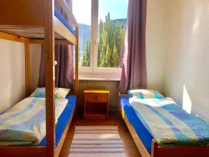 una camera con 2 letti a castello e una finestra di Auberge Pour Tous a Vallorbe