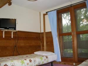 TV a/nebo společenská místnost v ubytování Hayashi Pension + 17 fotografií