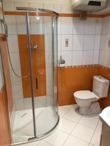 ein Bad mit einer Dusche und einem WC in der Unterkunft Ski & bike apartmány in Svoboda nad Úpou