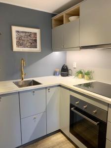 A kitchen or kitchenette at Nedre Stølen Apartment Bergen