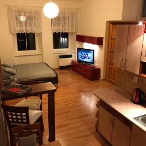 烏帕河畔斯沃博達的住宿－Ski & bike apartmány，一间带厨房的客厅和一间带电视的客厅。