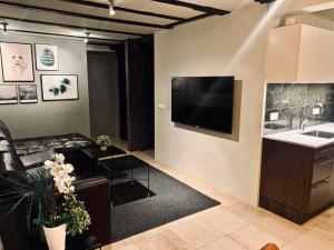 En TV eller et underholdningssystem på Heart of Reykjavik-Luxury Apartments