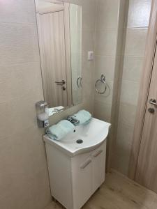 a bathroom with a white sink and a mirror at Simic Apartman in Arandelovac
