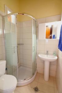 a bathroom with a shower and a sink at Adriana Studios in Perivólion