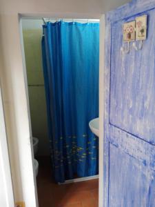 ボローニャにあるla casetta di Ginoのバスルーム(青いシャワーカーテン、シンク付)
