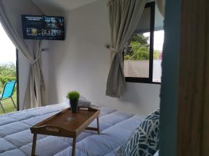 TV a/nebo společenská místnost v ubytování Tiny House Dreamcatcher