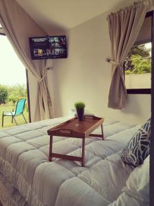 TV a/nebo společenská místnost v ubytování Tiny House Dreamcatcher