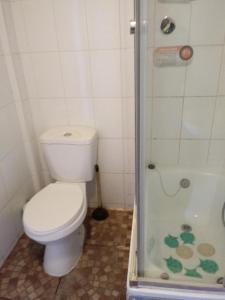 uma casa de banho com um WC e um chuveiro em Habitaciones Gabriel em Horcón