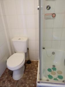 a bathroom with a toilet and a shower at Habitaciones Gabriel in Horcón +5 photos