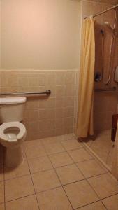 een badkamer met een toilet en een douche bij Madelia Hotel & Suites in Madelia