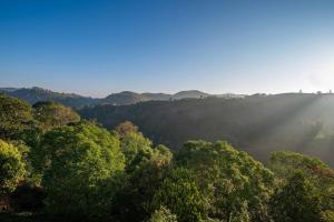 Příroda nedaleko vily