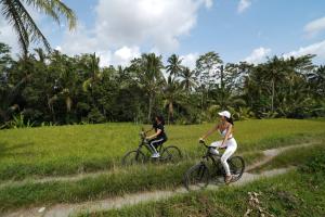 Hosté ubytování Puri Gangga Resort Ubud