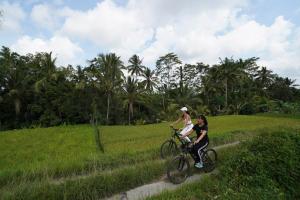 Hosté ubytování Puri Gangga Resort Ubud