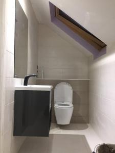 een badkamer met een toilet en een wastafel bij Private Double Room With New En-suite Shower Room in Kings Lynn