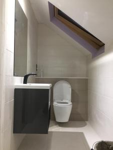 a bathroom with a toilet and a sink at Private Double Room With New En-suite Shower Room in King's Lynn