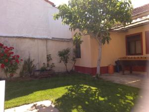 a small yard with a tree and a house at Casa Rural Las Barricas in Coca