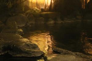 Φυσικό τοπίο κοντά σε αυτό το ryokan