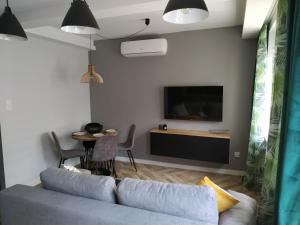 Televízia a/alebo spoločenská miestnosť v ubytovaní Apartament Skrytka
