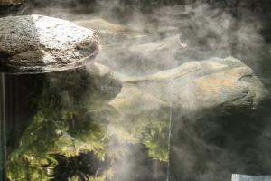 Φυσικό τοπίο κοντά σε αυτό το ryokan