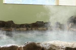 Σημείο ενδιαφέροντος κοντά σε αυτό το ryokan