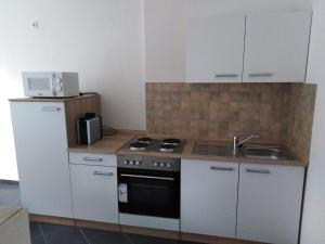 a small kitchen with a stove and a sink at Ferienwohnung Wettin in Wettin