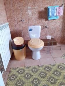 a bathroom with a toilet and a trash can at La Botezatu in Tuzla