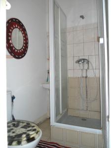 a bathroom with a shower with a toilet and a sink at Chambres D'hôtes AISSA in Saint-Denis