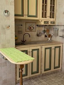 a kitchen with green cabinets and a sink at I Citri in Taranto