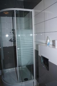a shower with a glass door in a bathroom at Noclegi u Matyldy in Marklowice