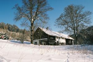 Fotografie z fotogalerie ubytování Cykloturistická Základna Lesovna v destinaci Těchonín