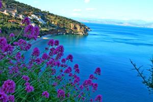 a view of a body of water with purple flowers at Blue Sky Studios in Xiropigado