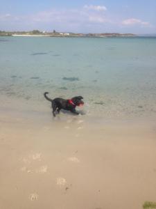 Gallery image of Achamore Lodge, Isle of Gigha in Isle of Gigha