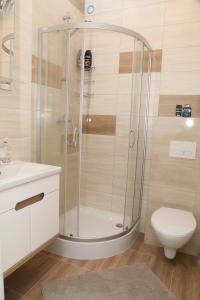 a bathroom with a shower and a toilet at Pokoje Gdańska in Żyrardów +47 photos