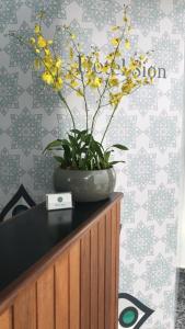 a vase on top of a cabinet with a plant at Hotel Sion in Monte Sião